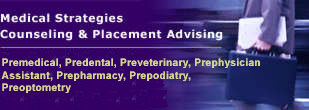 Lewis Associates